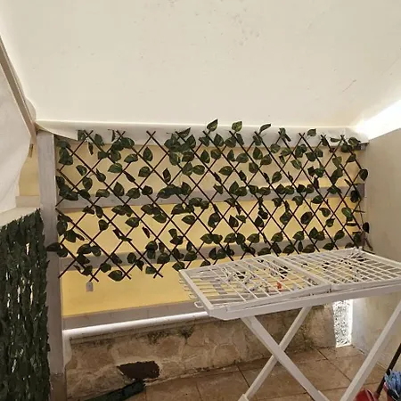 Catullo Bags&beach Cozze